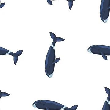 Seamless pattern Bowhead whale on white background. Template of cartoon chara Stock Illustration