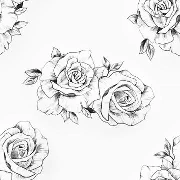 Seamless pattern of a branch of beautiful roses on a white background. Stock Illustration