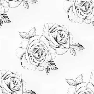Seamless pattern of a branch of beautiful roses on a white background. Stock Illustration