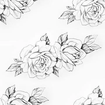 Seamless pattern of a branch of beautiful roses on a white background. Stock Illustration