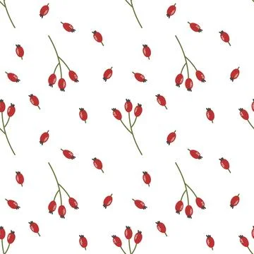 Seamless pattern with a branch with berries Stock Illustration