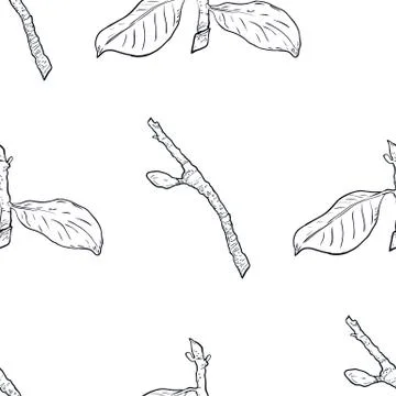Seamless pattern branch with green leaves. Drawing, vector illustration, whit Stock Illustration