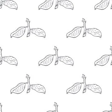 Seamless pattern branch with green leaves. Drawing, vector illustration, whit Stock Illustration