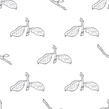 Seamless pattern branch with green leaves. Drawing, vector illustration, whit Illustrazione stock