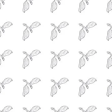 Seamless pattern branch with green leaves. Drawing, vector illustration, whit イラスト素材