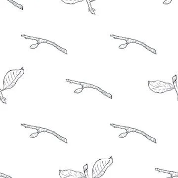 Seamless pattern branch with green leaves. Drawing, vector illustration, whit Stock Illustration