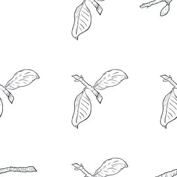 Seamless pattern branch with green leaves. Drawing, vector illustration, whit Stock Illustration