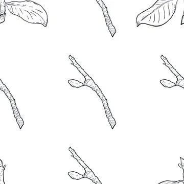 Seamless pattern branch with green leaves. Drawing, vector illustration, whit Illustrazione stock