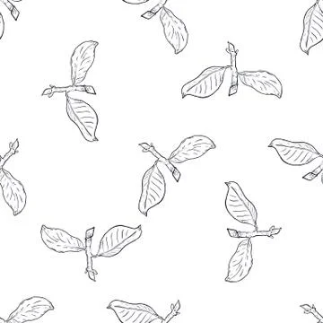 Seamless pattern branch with green leaves. Drawing, vector illustration, whit 스톡 일러스트