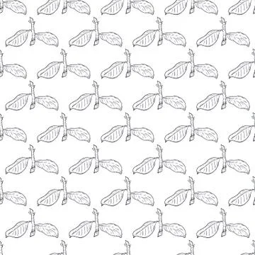 Seamless pattern branch with green leaves. Drawing, vector illustration, whit Illustrazione stock