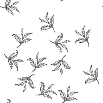 Seamless pattern branch tea leaf sketch hand drawn Stock Illustration