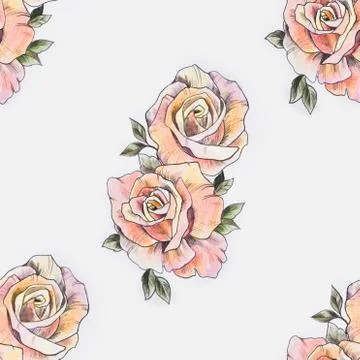 Seamless pattern of a branch of white roses on a white background. Illustrazione stock