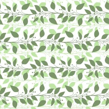 Seamless pattern branches and leaves of Camphor laurel. Floral background Stock Illustration