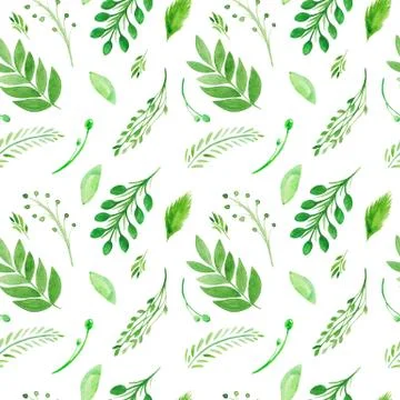 Seamless pattern of branches and leaves on a white background Watercolor illu Stock Illustration