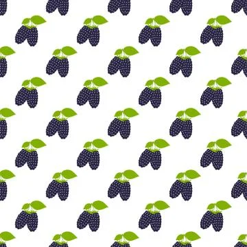 Seamless pattern. Branches with black berries on white background. Stock Illustration