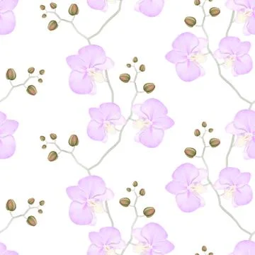 Seamless pattern of branches with orchids Stock Illustration
