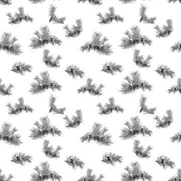 A seamless pattern, branches of pine with cones chaotically located on a whit Stock Photos