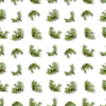 A seamless pattern, branches of pine with cones chaotically located on a whit Stock Photos