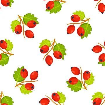 Seamless pattern with branches of ripe hawthorn berries and green leaves on Stock-Illustration