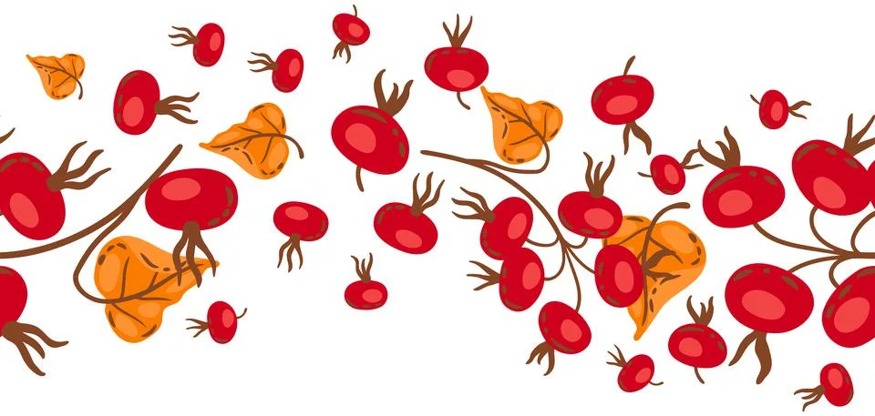 Seamless pattern of branches with rose hips. Image of autumn plant. Illustrazione stock