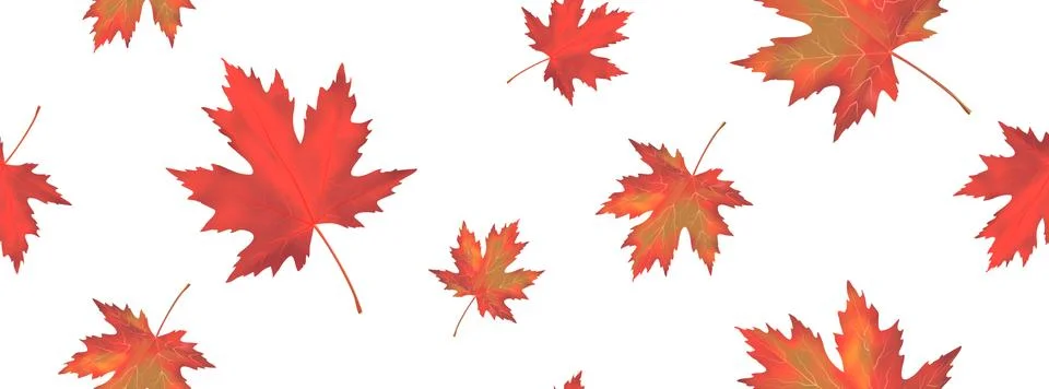 Seamless pattern with bright orange red falling maple leaves isolated on whit Illustrazione stock