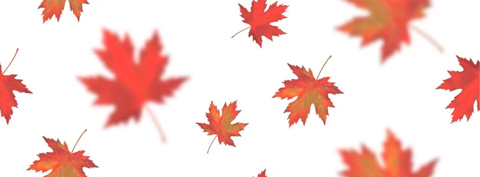 Seamless pattern with bright orange red blurred falling maple leaves isolated Stock Illustration