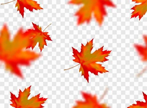 Seamless pattern with bright orange yellow red blurred falling maple leaves i Illustrazione stock