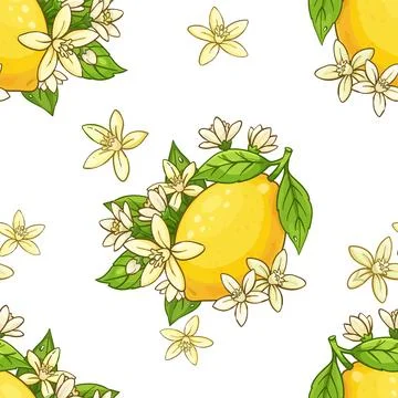 Seamless pattern with bright yellow lemons, green leaves, and delicate white Stock Illustration