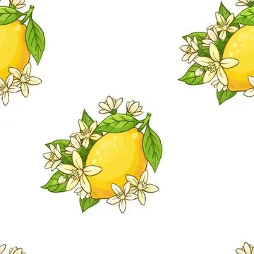 Seamless pattern with bright yellow lemons, green leaves, and delicate whit.. Stock Illustration