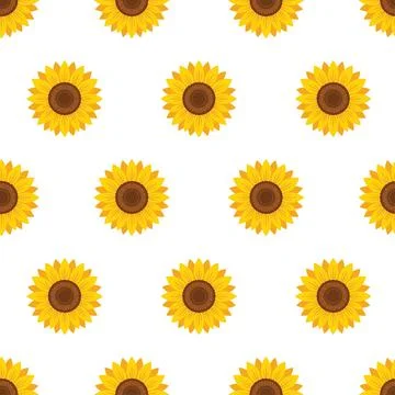 Seamless pattern with bright yellow sunflowers on a white background. Illustrazione stock