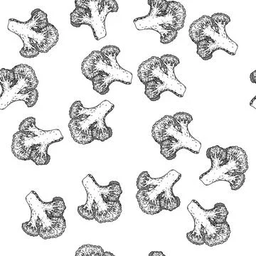 Seamless pattern broccoli cut sketch hand drawn illustration 스톡 일러스트