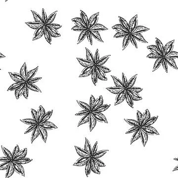 Seamless pattern brown anise star sketch hand drawn Stockillustratie