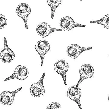Seamless pattern brown cinnamon sketch hand drawn Stock Illustration