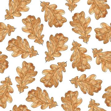 Seamless pattern with brown oak leaves on a white background. Leaf fall. Autu Stock Illustration