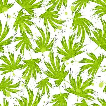 Seamless pattern in brush style cannabis leaves. Cannabis leaves, hemp or Illustrazione stock