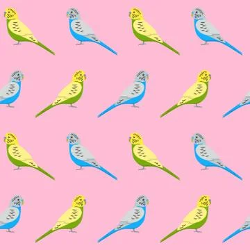 Seamless pattern with budgie parrots Illustrazione stock