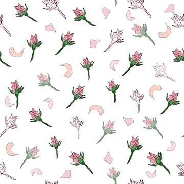 Seamless pattern buds and rose petals. Confetti, cosmetics, wedding beautiful イラスト素材