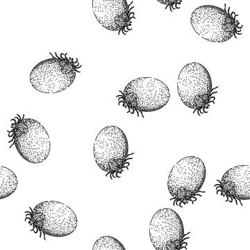 Seamless pattern bug tick sketch hand drawn Ilustração Stock