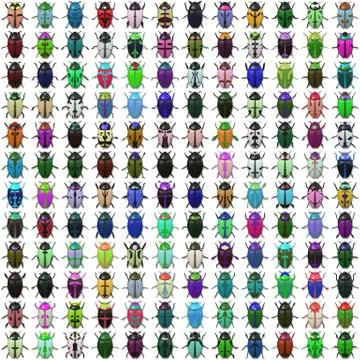 Seamless   pattern  with bugs Stock Illustration