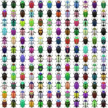 Seamless   pattern  with bugs 스톡 일러스트