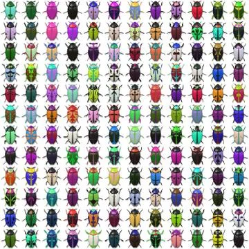 Seamless   pattern  with bugs Stock Illustration