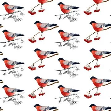 Seamless pattern. bullfinch on a branch of mountain ash. Illustrazione stock
