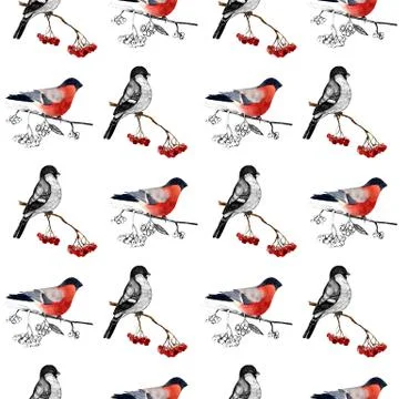 Seamless pattern bullfinch on a branch2 Stock Illustration