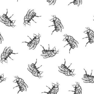 Seamless pattern Bumblebee drawing insect illustration on white background Stock Illustration