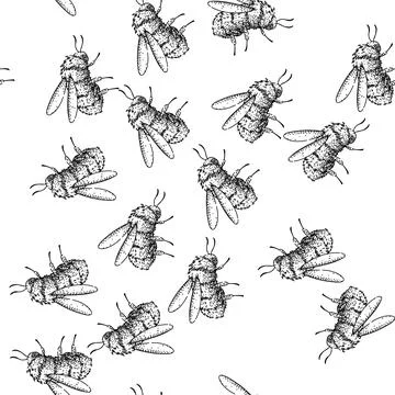 Seamless pattern Bumblebee flying showing furry body and wings Illustrazione stock