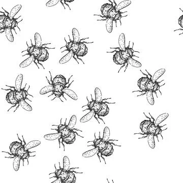 Seamless pattern Bumblebee insect drawing line art isolated white Stock Illustration