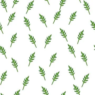 Seamless pattern bunch arugula salad on white background. Minimalistic orname Stock Illustration
