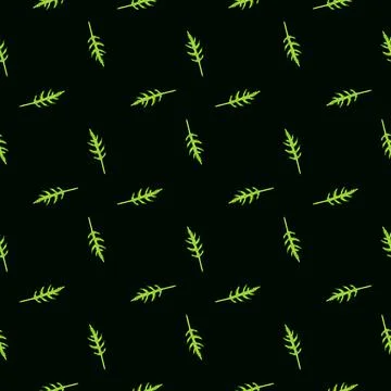 Seamless pattern bunch arugula salad on black background. Minimalistic orname Stock Illustration