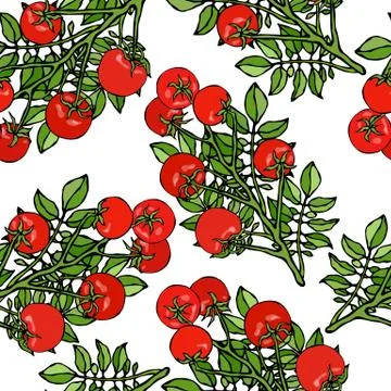 Seamless Pattern of Bunch Cherry Tomatoes on a Branch With Leaves. Botanical  Stock Illustration