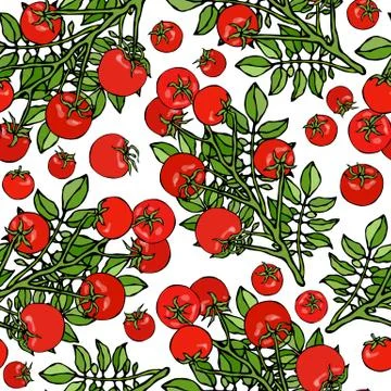 Seamless Pattern of Bunch Cherry Tomatoes on a Branch With Leaves. Botanical  イラスト素材